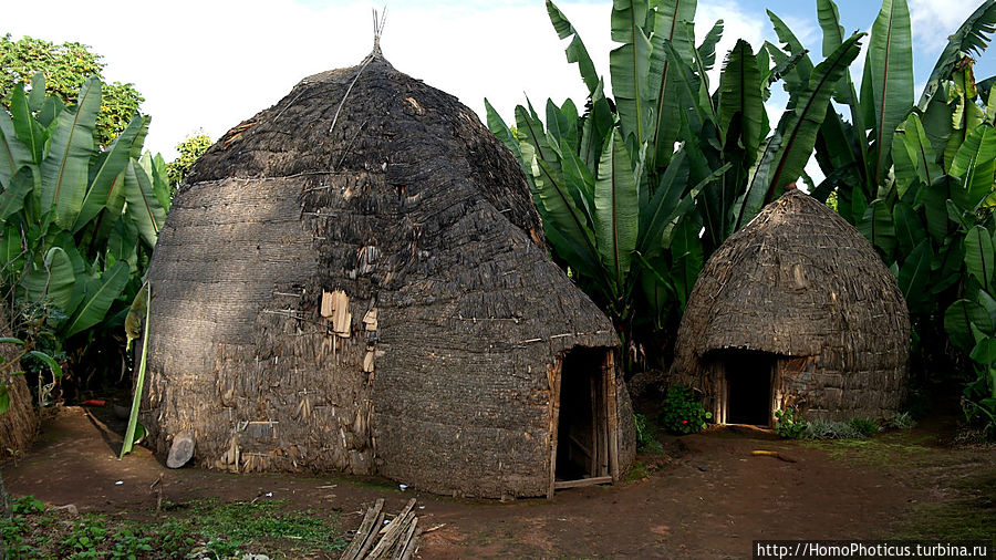 Этнография Эфиопии: деревня дорзе Ченча, Эфиопия