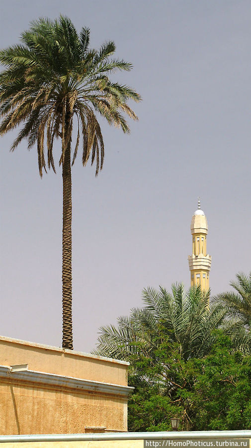 На кончике слоновьего хобота Хартум, Судан На кончике слоновьего хобота Хартум, Судан