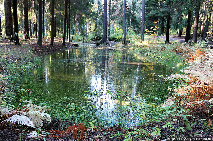 Пенаты. Место, где поселилась печаль Репино, Россия Пенаты. Место, где поселилась печаль Репино, Россия