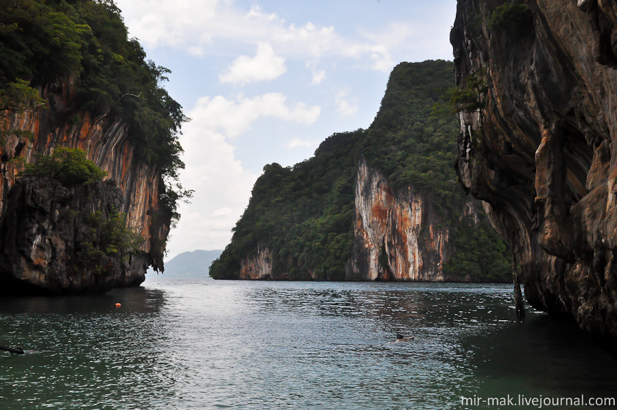 Пейзажи вокруг просто нереальные. Торчащие из воды отвесные скалы, покрытые густой растительностью, напоминают инопланетную природу из фильма «Аватар». Краби, Таиланд