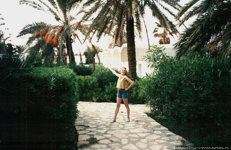 Вот как растут финики! Сусс, Тунис Вот как растут финики! Сусс, Тунис