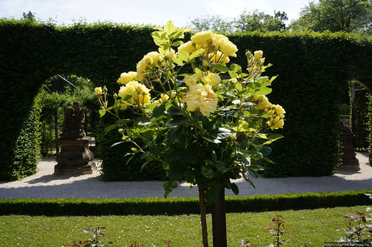 дворец Вюрцбургская резиденция Вюрцбург, Германия дворец Вюрцбургская резиденция Вюрцбург, Германия