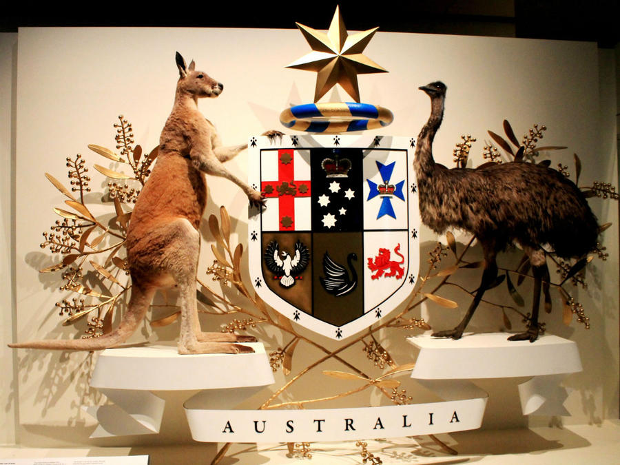 Мельбурнский музей / Melbourne Museum