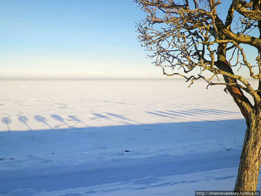 Внеземное ощущение Петергоф, Россия Внеземное ощущение Петергоф, Россия