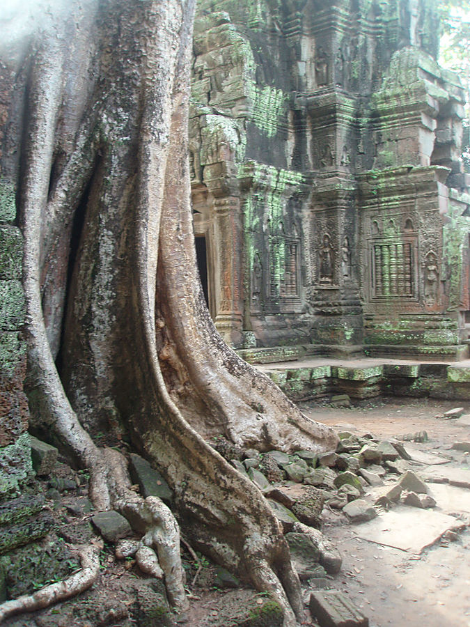 Кто открыл Ангкор? или Второе рождение Ангкор (столица государства кхмеров), Камбоджа