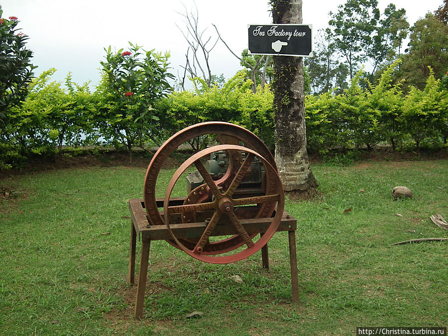 Чайная фабрика Остров Маэ, Сейшельские острова