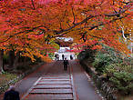 на аллеях храма Бисямондо, Киото