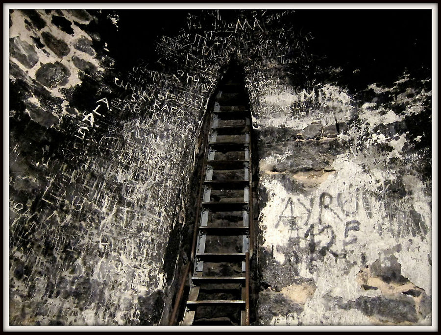 Это открытая часть лестницы, выше она продолжается, но уже стены со всех сторон. Один бы я не полез:) Хор Вирап Монастырь, Армения
