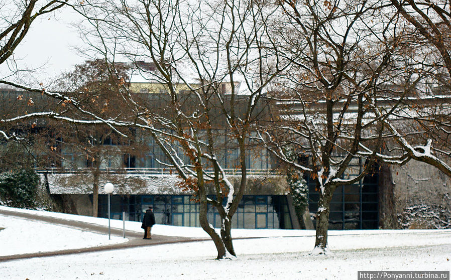 Новое здание музея природоведения Новое здание музея природоведения