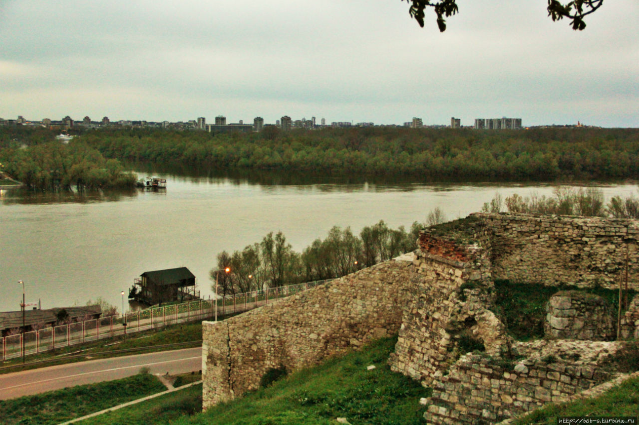 Стрелка Саввы и Дуная Белград, Сербия