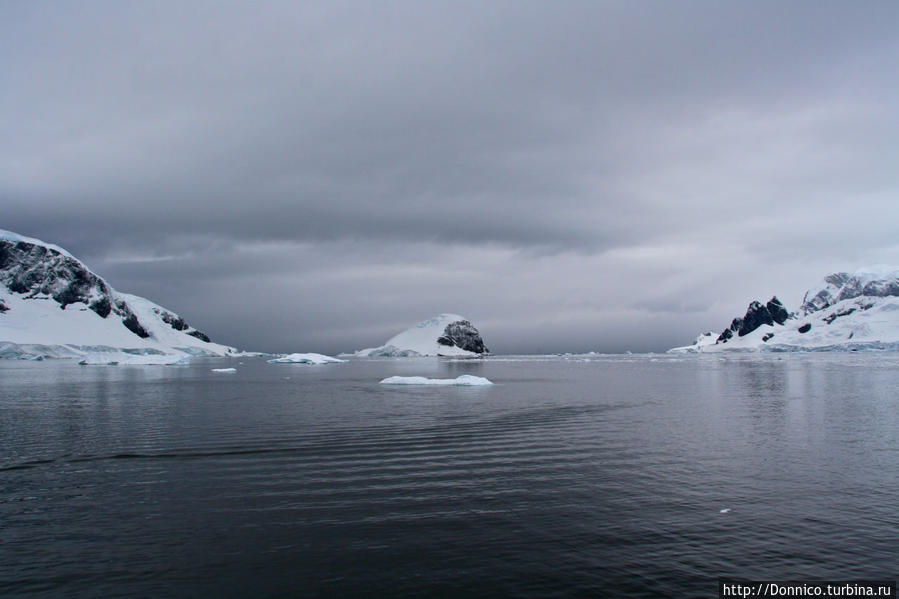 Первый снег и первые пингвины... Остров Данко, Антарктида