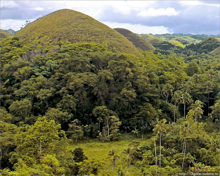 Все холмы разных форм, что считается следствием многовековой работы ветра и эрозии Остров Бохол, Филиппины