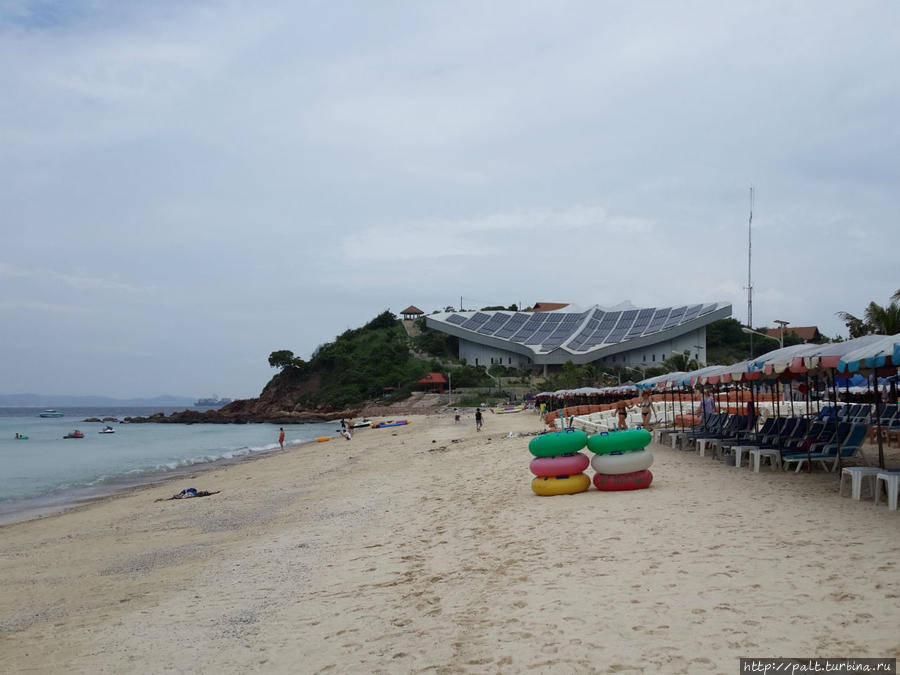 Любимый Самае. Там, где кончаются зонтики, направо дорожка на пляж Тиан, минут пять приятной прогулки Остров Лан, Таиланд