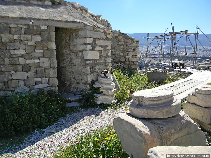 Возле Парфенона Афины, Греция Возле Парфенона Афины, Греция