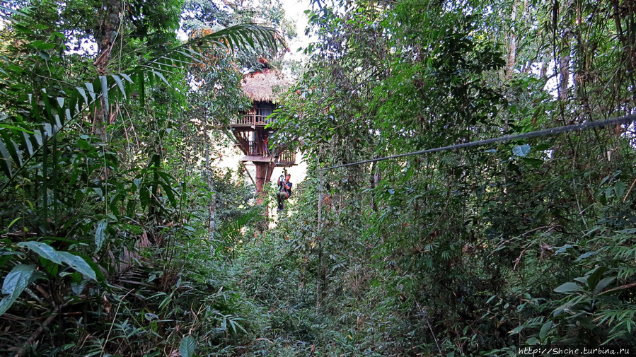 Страна Гиббония. Домики на деревьях Нам Кан Национальный Парк, Лаос