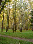 Дорогожицкий парк