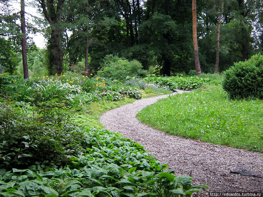 Ботанический сад Ботанический сад