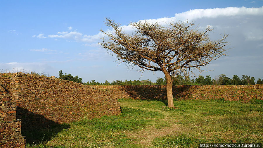 Развалины чего-то, возможно — дворца царицы Савской Аксум, Эфиопия