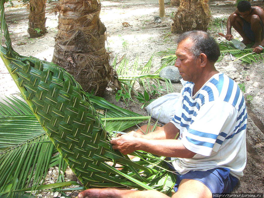 В такие корзинки, сплетенные из листьев пальмы, сейчас закладываются рыба, мясо и овощи. А раньше — и части тел убитых врагов Остров Дравака, Фиджи