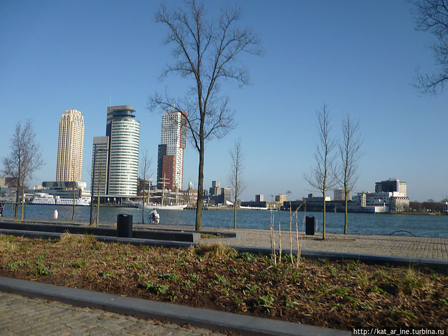 Роттердам Роттердам