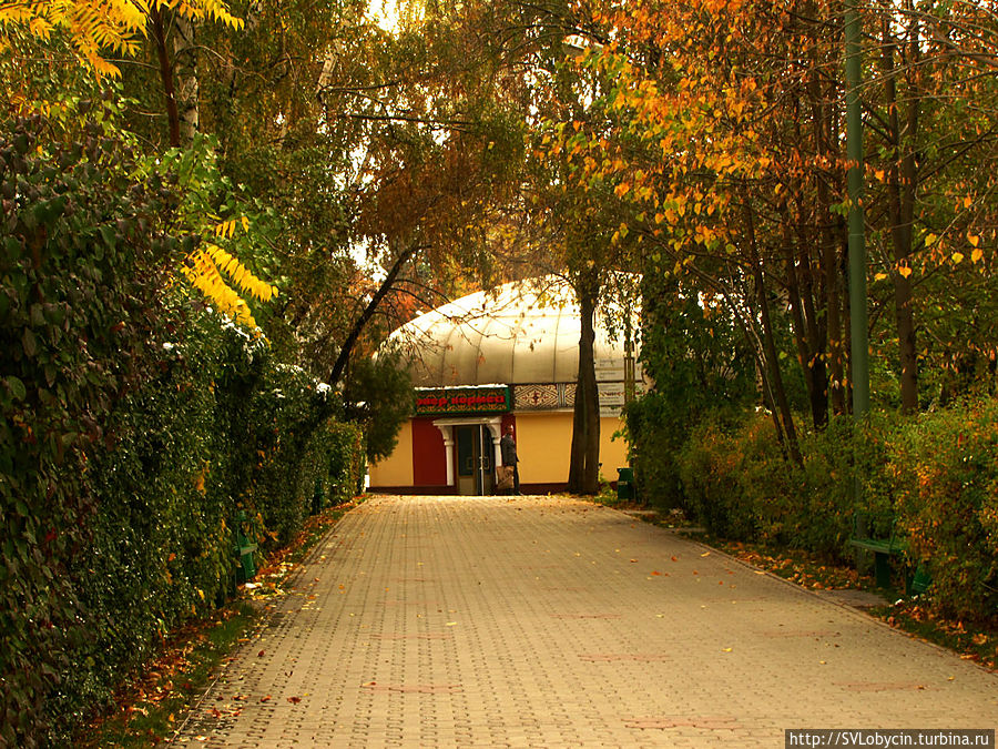 На горе Кок-Тобе На горе Кок-Тобе