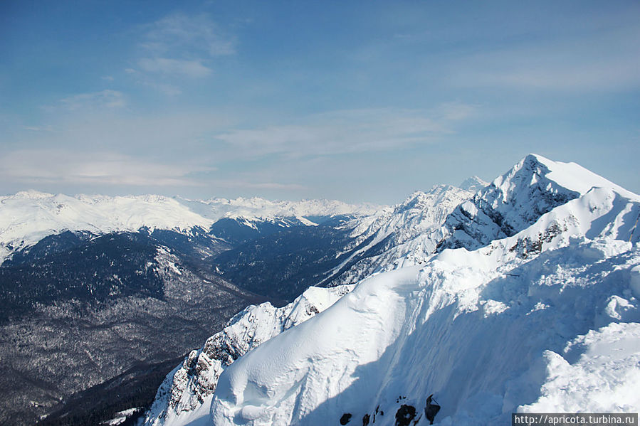 Агепста Агепста