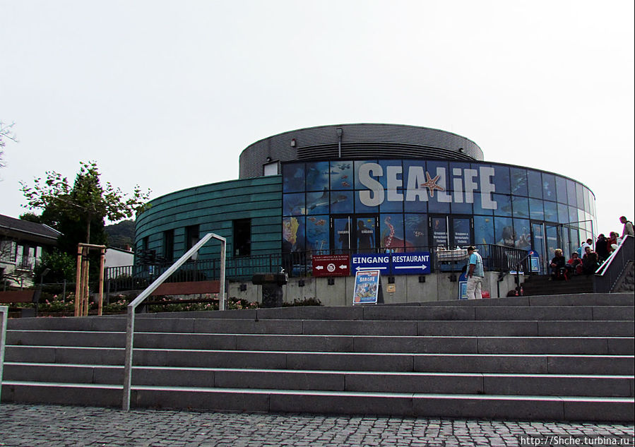 туда мы не пошли, зачем океанариум на Рейне туда мы не пошли, зачем океанариум на Рейне