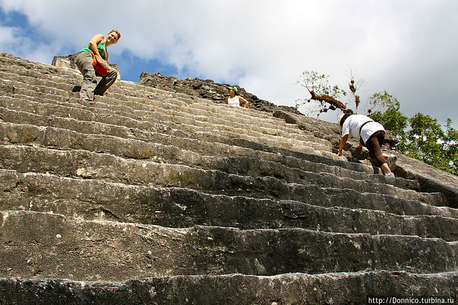 Коронная Чакра Тикаль Национальный Парк, Гватемала