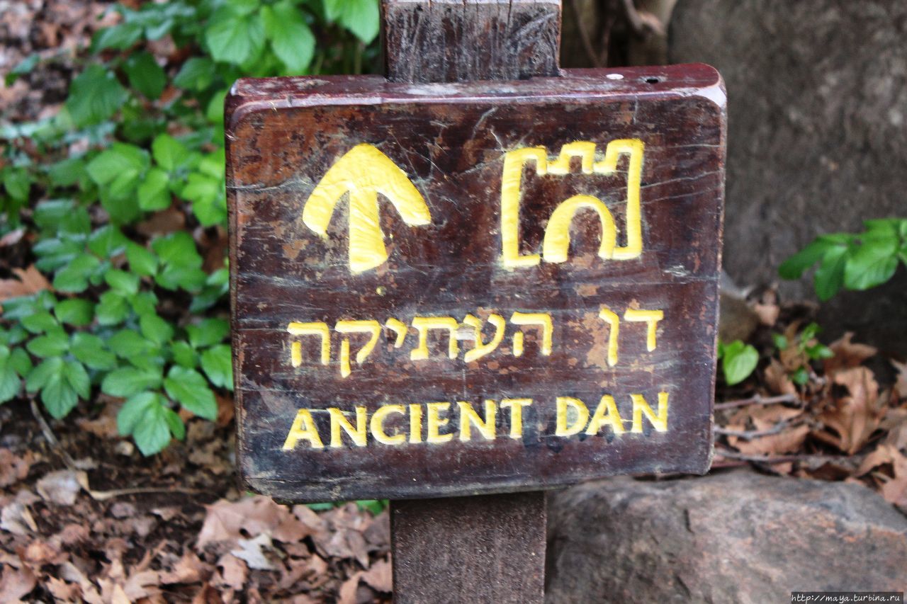 Тель-Дан  национальный парк Тель-Дан национальный парк, Израиль