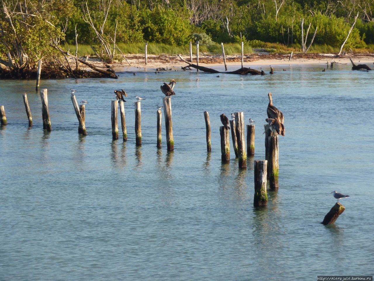 Hacienda Tres Rios Плая-дель-Кармен, Мексика Hacienda Tres Rios Плая-дель-Кармен, Мексика