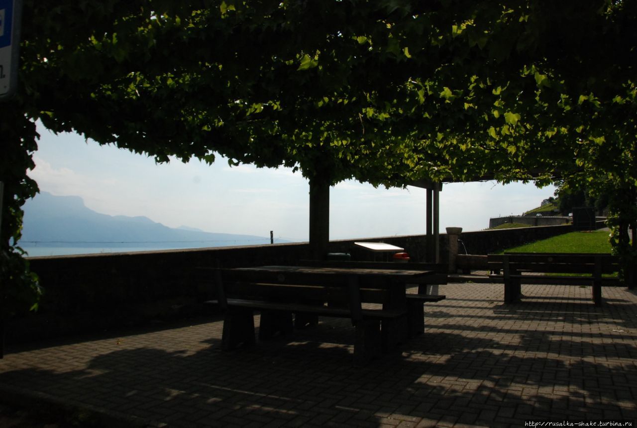Виноградники Лаво Жонни, Швейцария