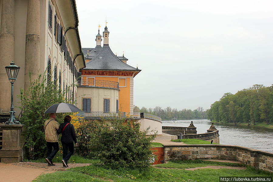 Пильницкая Камелия Пильниц, Германия