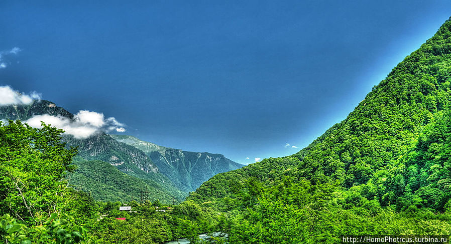 (обработка) (обработка)