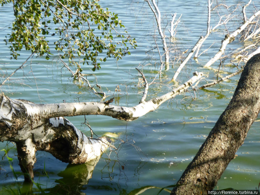Святое озеро Шатура, Россия Святое озеро Шатура, Россия