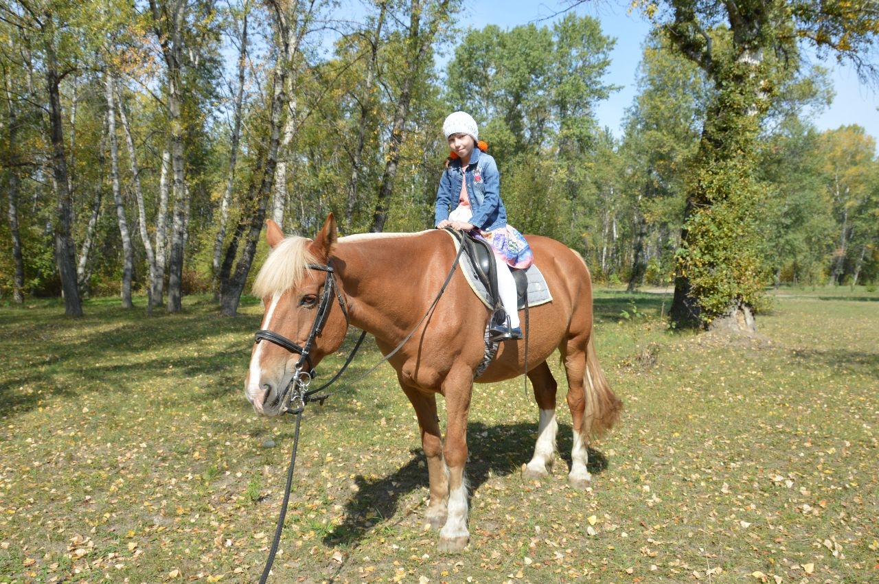 В гостях у «Рыжей лошади» Абакан, Россия
