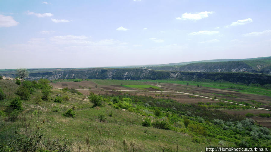 Новый Старый Орхей Требужены, Молдова