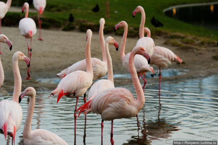 Альгамбра на берегу Неккара Штутгарт, Германия Альгамбра на берегу Неккара Штутгарт, Германия