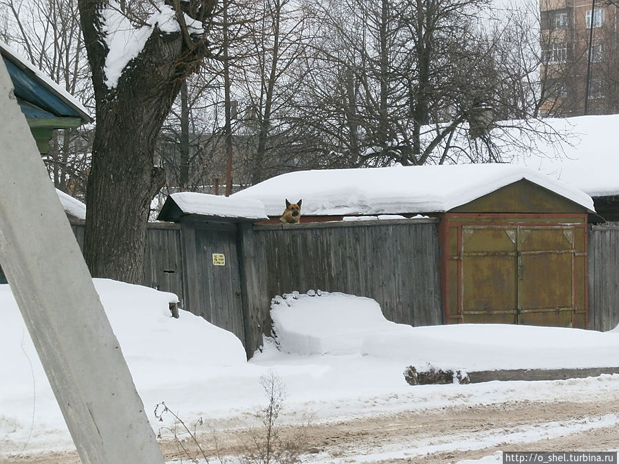 Прогулка по городу Ковров, Россия