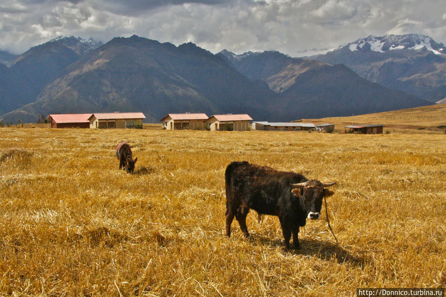 Планета Марас Марас, Перу Планета Марас Марас, Перу