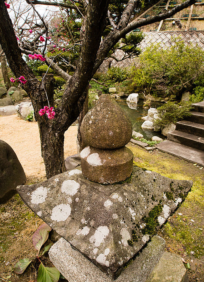 Сад в храме Каннон-ин Тоттори, Япония