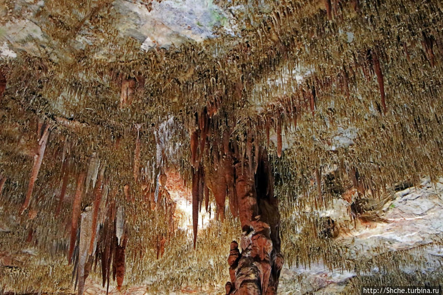 Пещера Петралона Петралона, Греция
