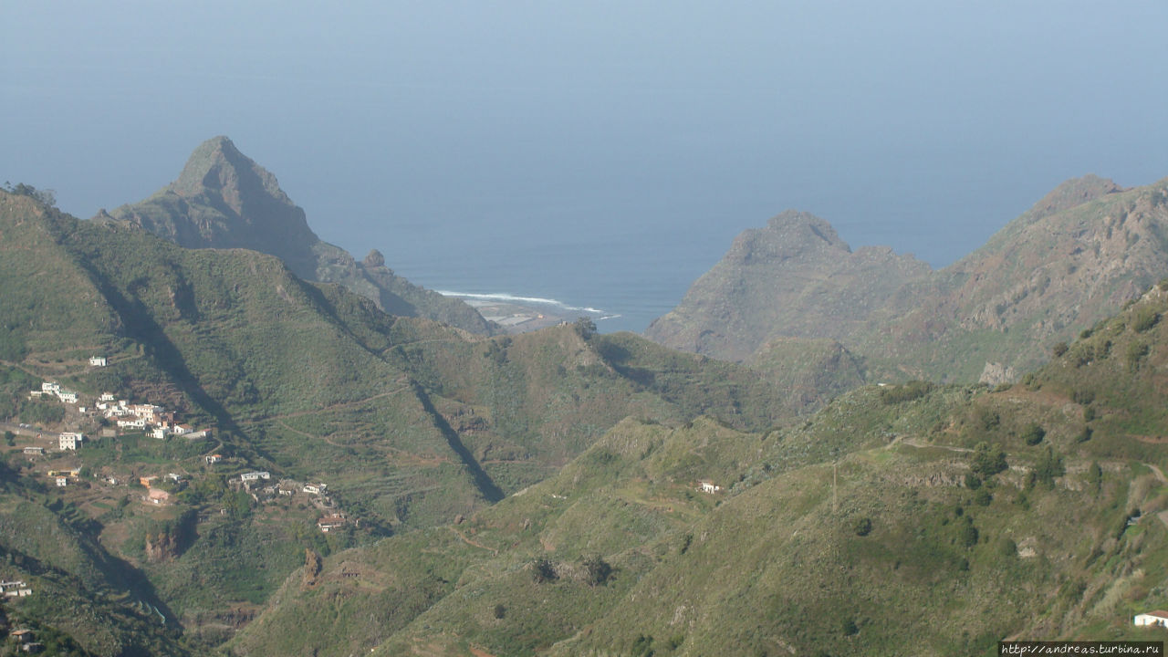 На Канарских островах канарейки поют Санта-Крус-де-Тенерифе, остров Тенерифе, Испания