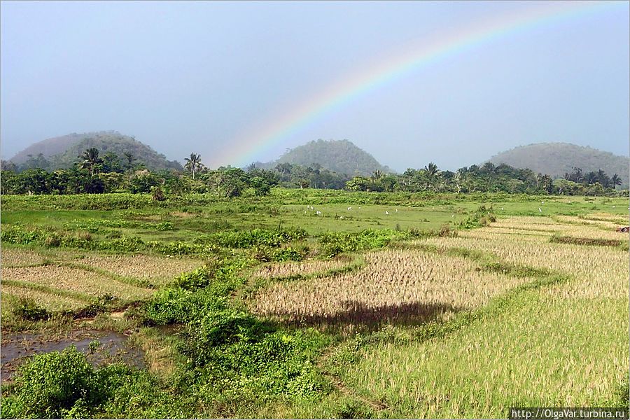 Когда дождь прошел, мы увидели радугу. Приподняв сизые облака, разноцветная дуга подпирала небо. Остров Бохол, Филиппины