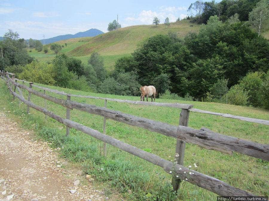 Деревенский отдых (день 3й,часть 2я) Смолянская область, Болгария