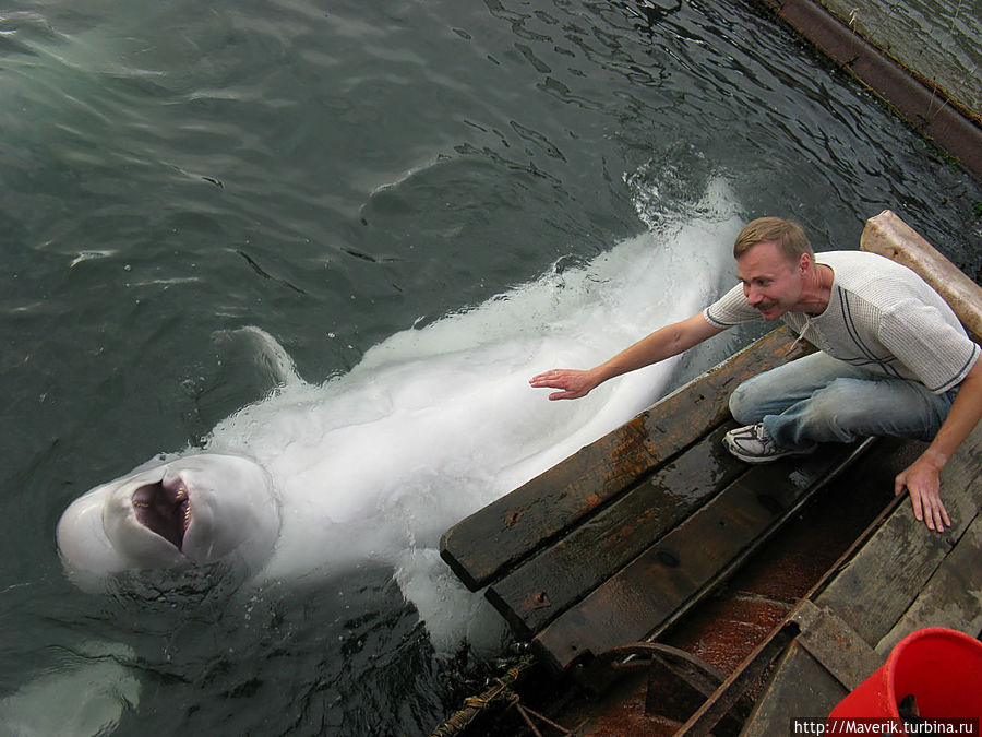 Владивосток — знакомство с городом Владивосток, Россия Владивосток — знакомство с городом Владивосток, Россия