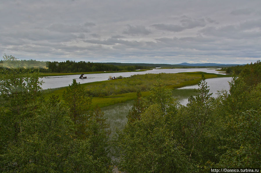 с вышки, куда мы разумеется поднялись, очень хорошо видно вдаль реку Пасвик Заповедник, Россия