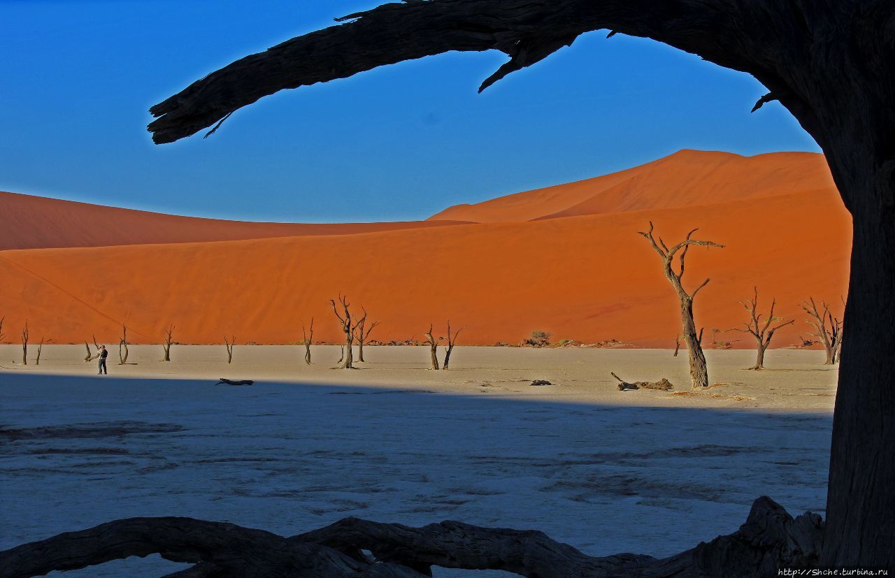 Мертвая долина Парк Намиб-Науклуфт, Намибия