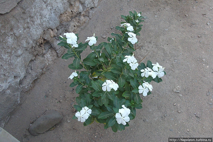 Улыбки и гримасы Порт-Судан, Судан Улыбки и гримасы Порт-Судан, Судан