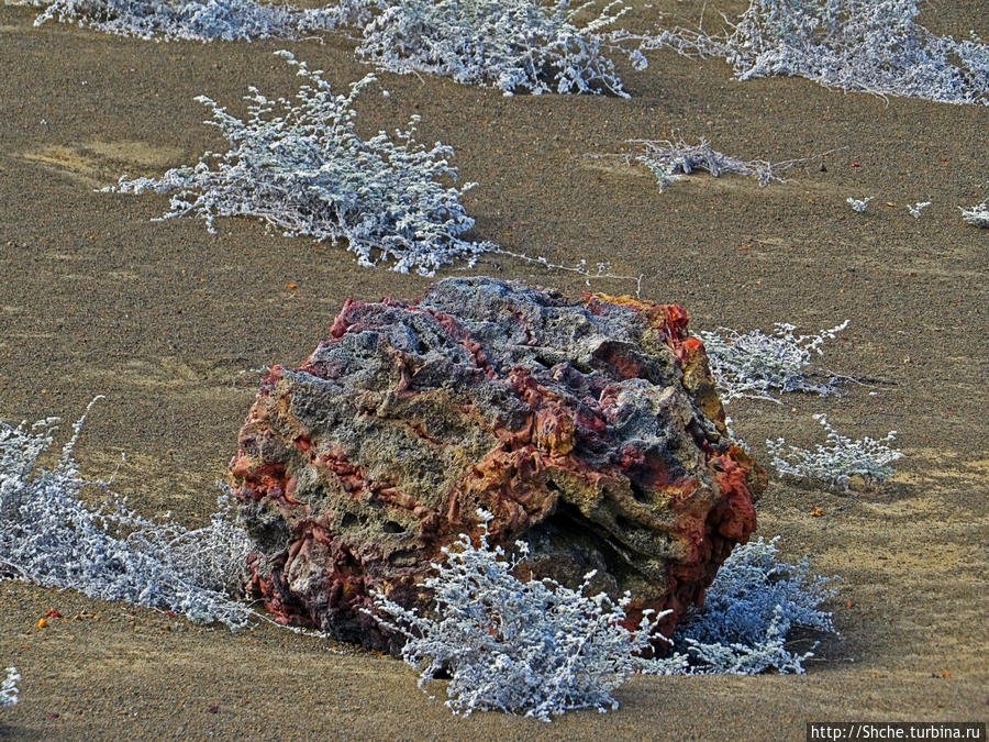 колоритные куски лавы близ побережья Остров Бартоломе, Эквадор