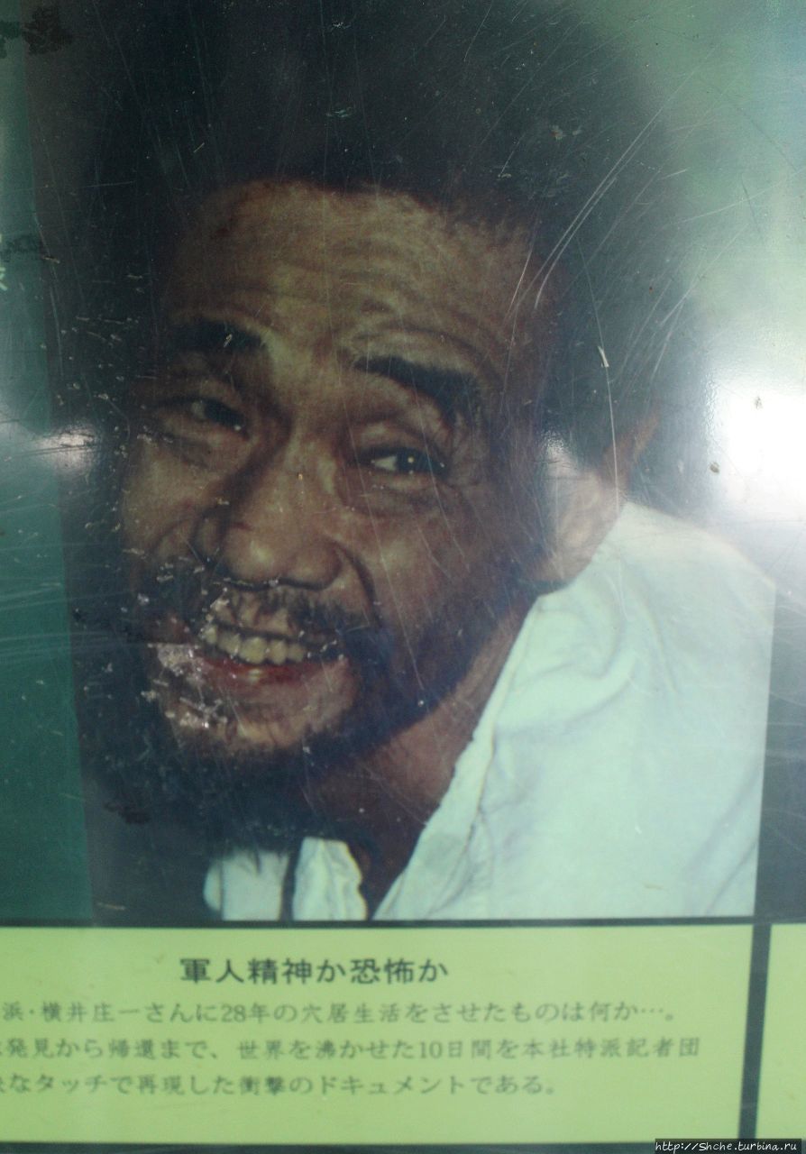 таким Сёити Ёкои был обнаружен в джунглях в 1972 году Талофофо, Гуам